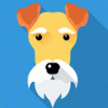 Bild von Quiz-Favorit-396